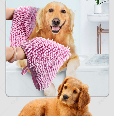 宠物美容工具的分类与使用