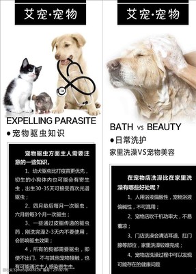 宠物美容都包括什么项目呢图片